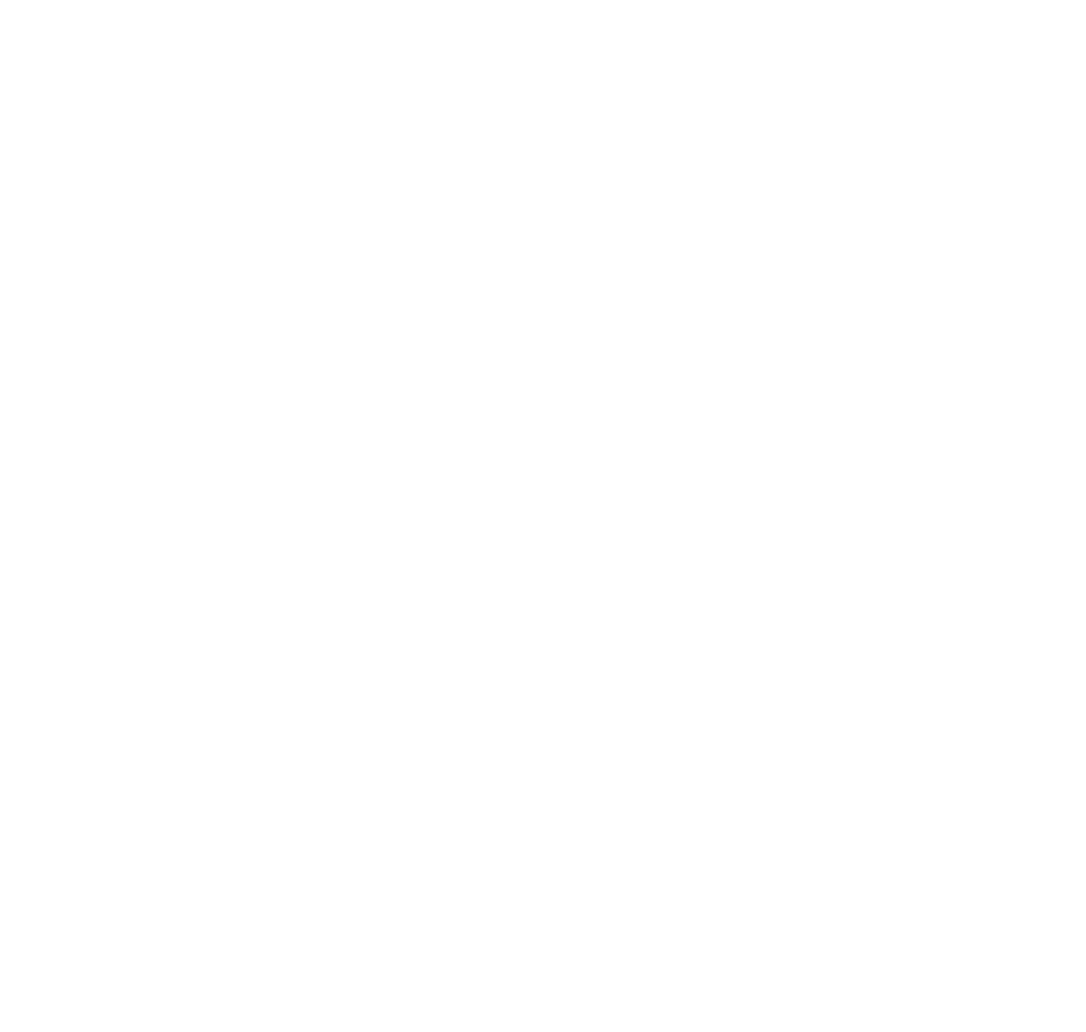 ICEF group